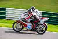 Vintage-motorcycle-club;eventdigitalimages;mallory-park;mallory-park-trackday-photographs;no-limits-trackdays;peter-wileman-photography;trackday-digital-images;trackday-photos;vmcc-festival-1000-bikes-photographs